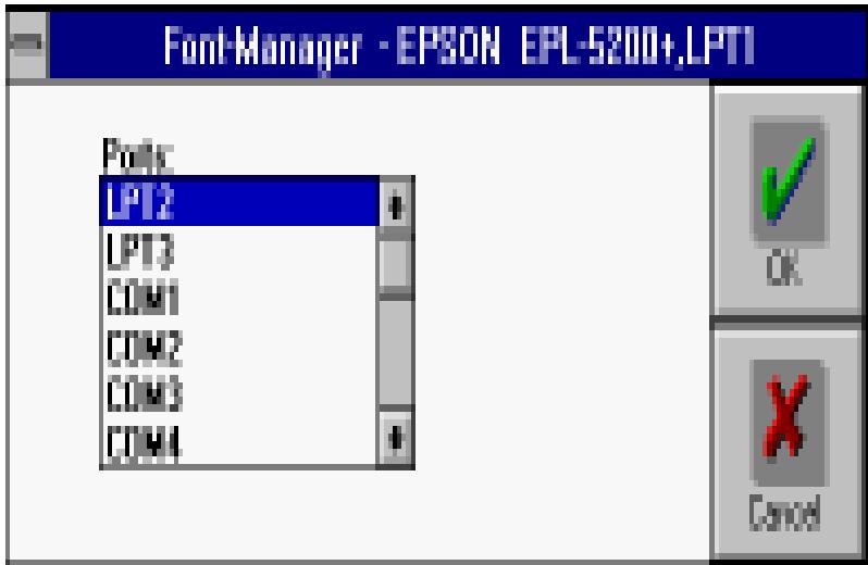 EPSON EPL-5200 - Copy Port - 1
