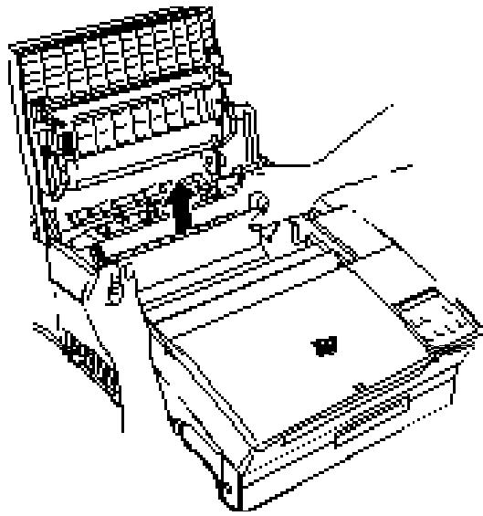 EPSON EPL-5200 - Printer stops and FEED JAM message appears - 2