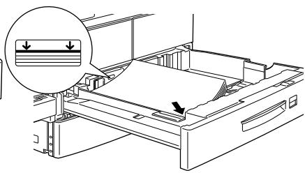 EPSON EPL-N4000+ - Bac inférieur 2 - 2