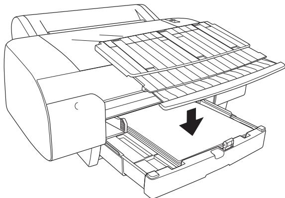 EPSON STYLUS PRO 4450, STYLUS PRO 4880 - Remarque : - 3