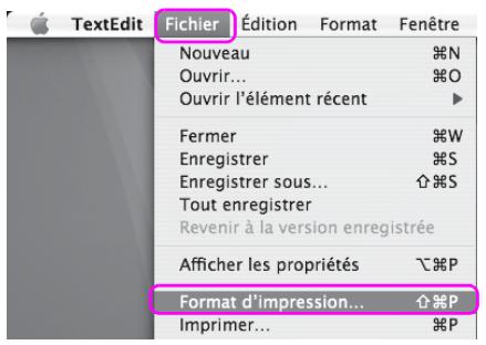 EPSON STYLUS PRO 4450, STYLUS PRO 4880 - Accès à la zone de dialogue Format d'impression - 1