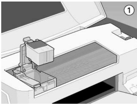 EPSON STYLUS COLOR 880 - Important : - 2