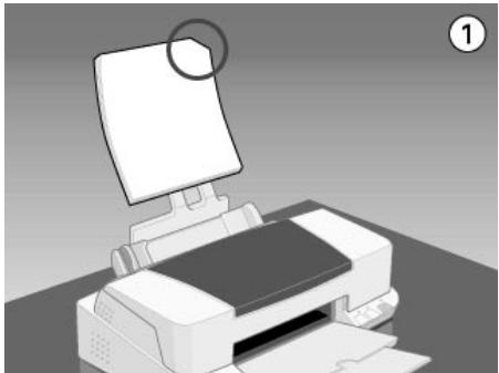 EPSON STYLUS COLOR 880 - Chargement de papiers spéciaux et d'autres supports - 1