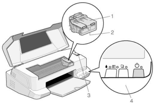 EPSON STYLUS COLOR 880 - Eléments de l'imprimante - 2