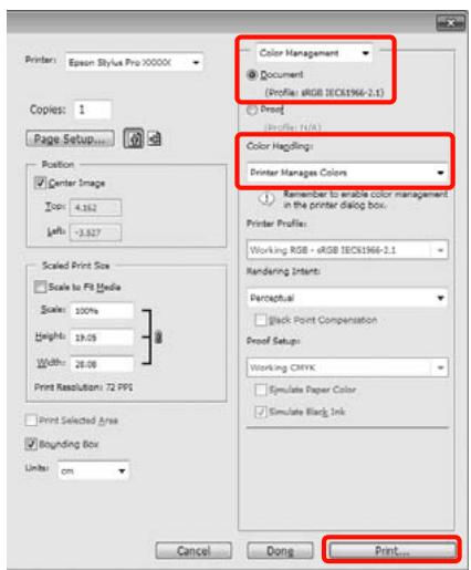 EPSON PRO 7890 - Configuration des paramètres dans windows - 1