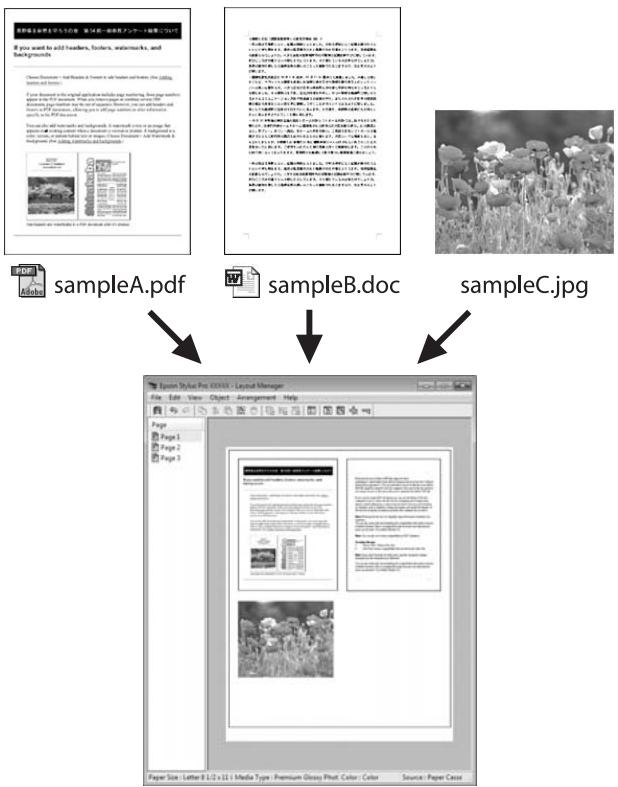 EPSON PRO 9890 - Layout Manager (Gestionnaire de disposition) (Windows uniquement) - 1