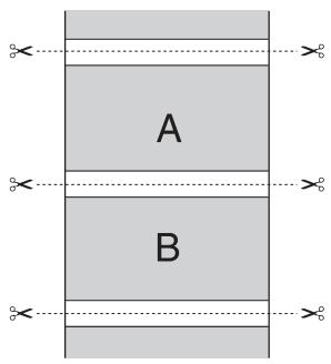 EPSON PRO 9890 - À propos de la coupe de papier rouleau - 1