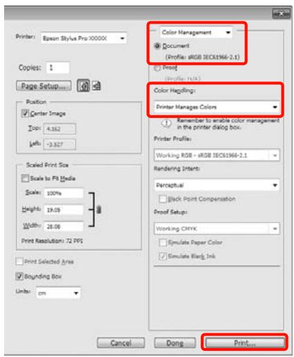 EPSON PRO 9890 - Configuration des paramètres dans Windows - 2