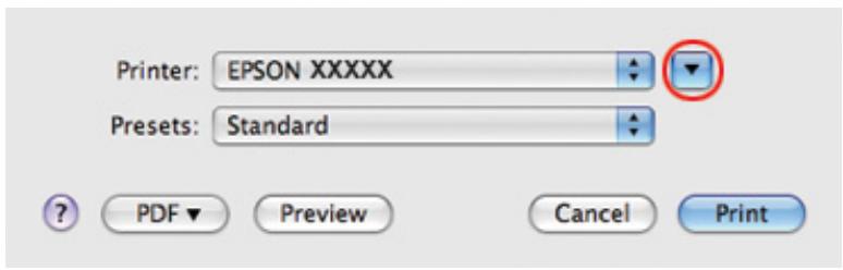 EPSON B-310N,  B-510DN - Paramètres de l'imprimante sous Mac OS X 10.5 - 1
