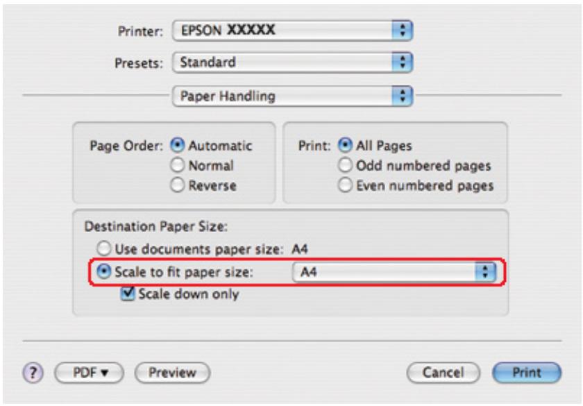 EPSON B-310N,  B-510DN - Paramètres de l'imprimante sous Mac OS X 10,4 - 3