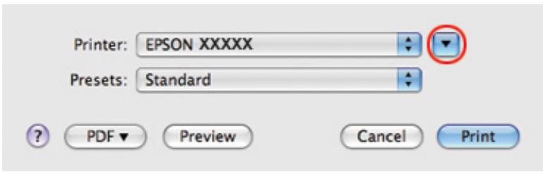EPSON B-310N,  B-510DN - Paramètres de l'imprimante sous Mac OS X 10.5 - 1