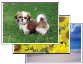 EPSON B-310N,  B-510DN - Impression de photos - 1