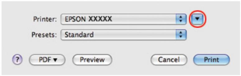 EPSON B-310N,  B-510DN - Paramètres de l'imprimante sous Mac OS X 10.5 - 1
