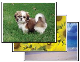 EPSON B-310N,  B-510DN - Impression de photos - 1