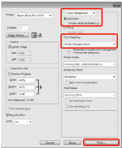 EPSON STYLUS PRO 4900 - Impression avec gestion des couleurs - 1