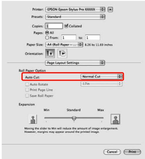 EPSON STYLUS PRO 4900 - Conseil: - 2