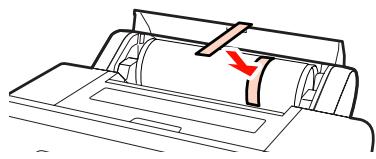 EPSON STYLUS PRO 4900 - Conseil: - 1
