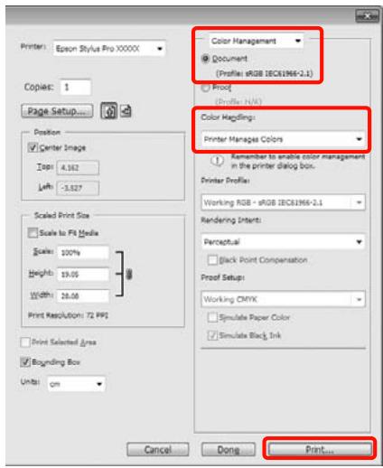 EPSON STYLUS PRO 4900 - Correction automatique des couleurs et impression de photos (PhotoEnhance) - 2