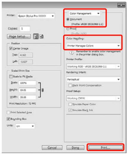 EPSON STYLUS PRO 4900 - Configuration des paramètres dans Windows - 2