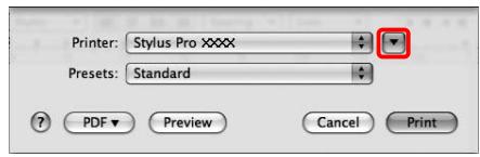 EPSON STYLUS PRO 9700 - Accès à la zone de dialogue Imprimer - 4