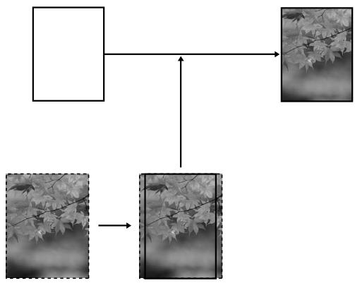 EPSON STYLUS PRO 9700 - Variété des impressions - 1