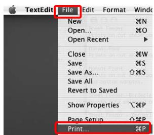 EPSON STYLUS PRO 9700 - Accès à la zone de dialogue Imprimer - 1