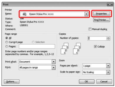 EPSON STYLUS PRO 9700 - Example : - 1