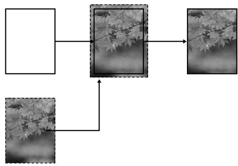 EPSON STYLUS PRO 9700 - Auto Expand (Agrandir auto) - 1
