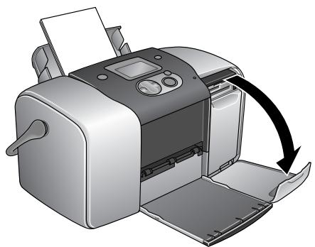 EPSON PICTUREMATE - Introduction de cartes mémoire - 1
