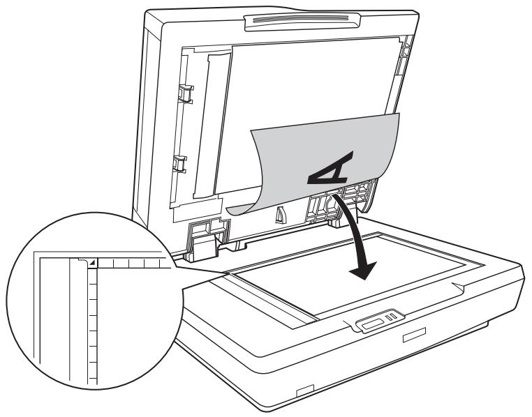 EPSON GT-2500+ - Remarque : - 2