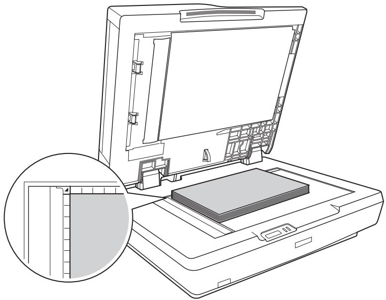 EPSON GT-2500+ - Mise en place de documents écais ou de grande dimension - 1