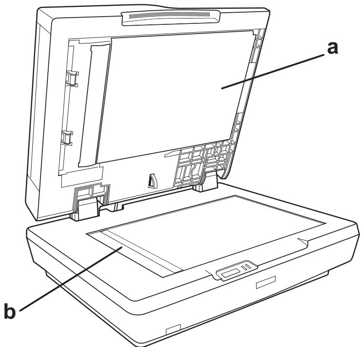 EPSON GT-2500+ - Nettoyage du scanner - 1
