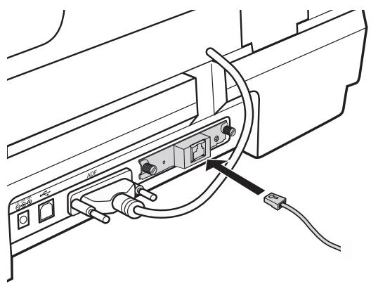 EPSON GT-2500+ - Connexion de la carte et du scanner à un concentrateur réseau - 1