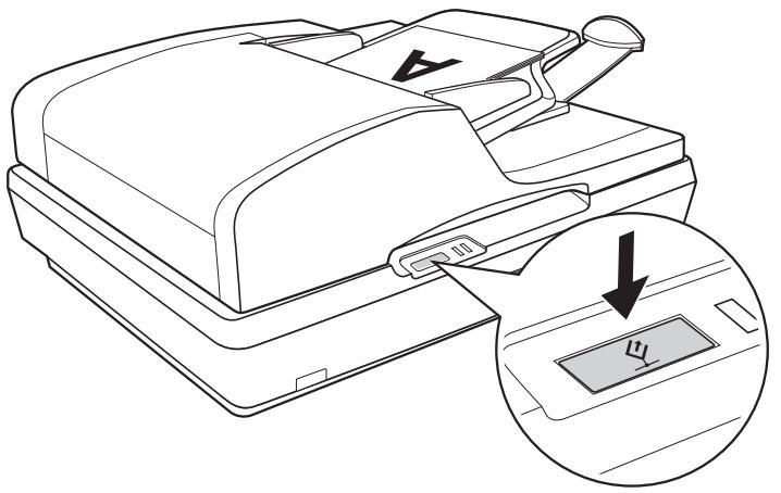 EPSON GT-2500+ - Touche AutoScan - 1