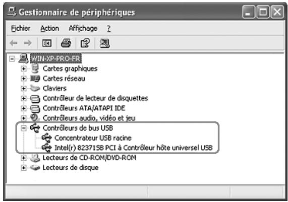 EPSON GT-2500+ - Vérification de la prise en charge de la norme USB par Windows - 1
