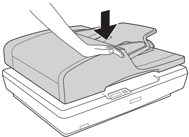 EPSON GT-2500+ - Mise en place de documents écais ou de grande dimension - 2