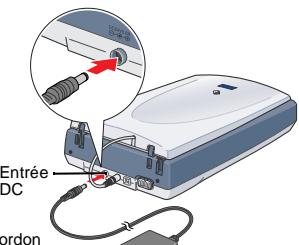 EPSON PERFECTION 1660 - Important : - 3