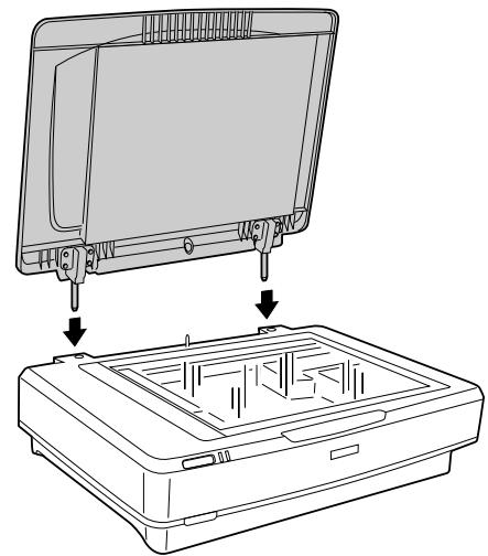 EPSON EXPRESSION 11000XL PRO - 5