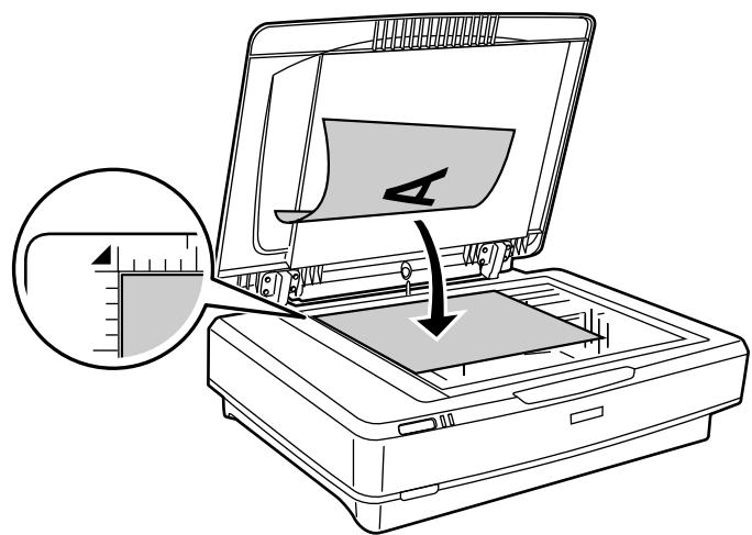 EPSON EXPRESSION 11000XL PRO - 2 - 3