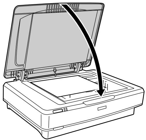 EPSON EXPRESSION 11000XL PRO - 2 - 5