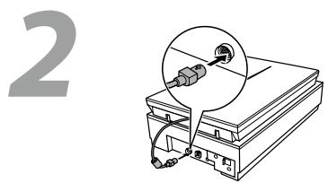 EPSON PERFECTION V800 PHOTO - Setup Guide - 4