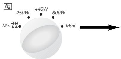 PANASONIC NN-F663 - Gebruik van de accessoires: - 3