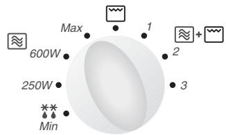 PANASONIC NN-F663 - Accessoireutilisé: - 2