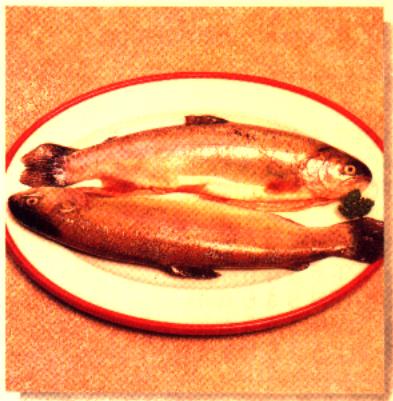 PANASONIC NN-D801 - Couvercle : - 3