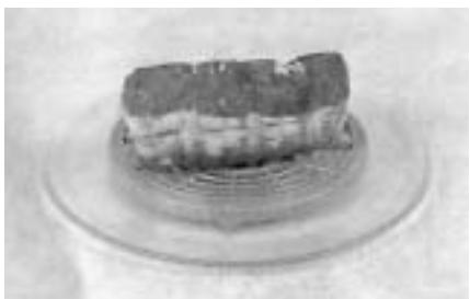 PANASONIC NN-Q523 - Tips für das Auftauen - 1