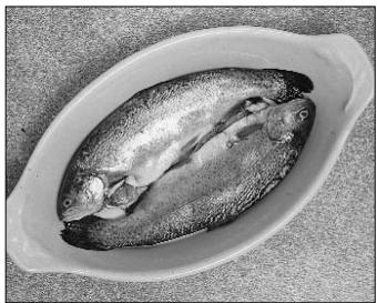 PANASONIC NN-Q543 - PEIXE - 3