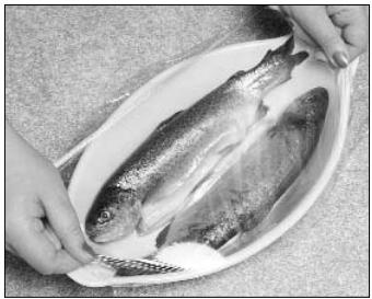 PANASONIC NN-Q553 - PEIXE - 2