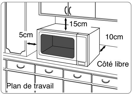 PANASONIC NN-E251WEPG - Emplacement du four - 1