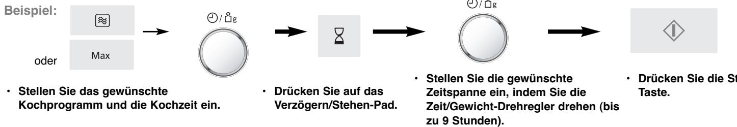 PANASONIC SD 450 - Standzeit - 1
