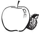 PANASONIC SD-2500WXC - Frutta fresca, frutta sotto spirito - 1